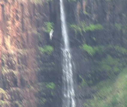 Waterfalls Mountain 7 Vídeo Stock 356978