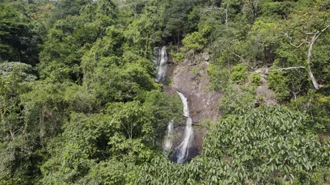 Waterfalls in the mountain drone shot between trees 4k 30p Stock Footage 231304097