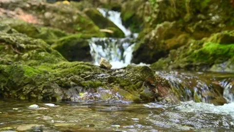 Waterfalls of a mountain stream in a forest 스톡 동영상 217381398