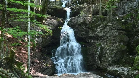 Waterfalls of a mountain stream in a forest Stock-Footage 217381474