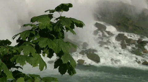 Waterfalls - Niagara Falls, Tree 動画素材 753724