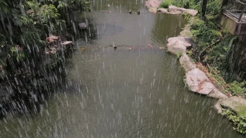 Waterfalls in the park inside view Video stock 116125577