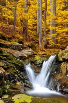 Waterfalls  Stock Photos
