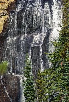 Waterfalls with pine forest Stock Photos