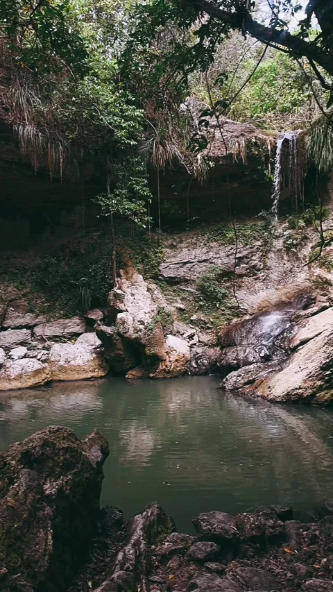 Waterfalls, rocks, rivers, streams, stream, flowing water, forest, Stock Footage 237018665