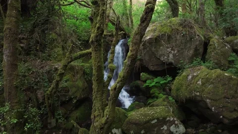 Waterfalls Of Santo Estevo do Ermo In Barreiros Stock-Footage 336365415