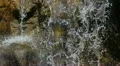 Waterfalls Slow Motion 08 Loop 60fps HD720 HD Footage