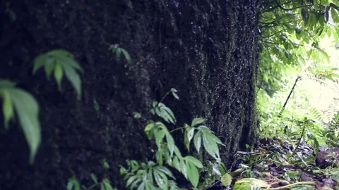 Waterfalls Slow Motion Video stock 81160648