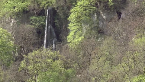 Waterfalls in springtime in germany Stock Footage 269027754