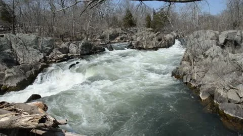 Waterfalls Stream Flow Movement Background Stock Footage 22332306