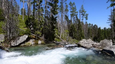 Waterfalls at stream Studeny potok in High Tatras mountains, Slovakia Stock Footage 89699781