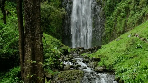Waterfalls with the stream of water going down the hill Stock Footage 163981921