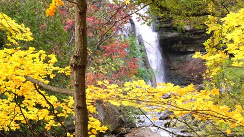 Waterfalls Through Fall Colors Stock Footage 141768294