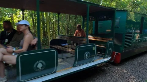 Waterfalls Train runs through forest to Iguacu Falls, Argentina 動画素材 335203412