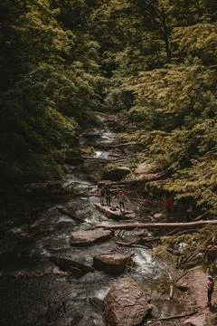 A   waterfalls   view Stock Photos