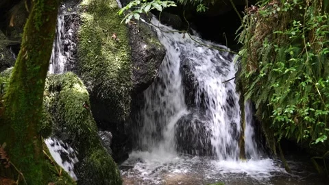 Waterfalls00084768 Stock Footage 323902951