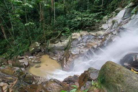 Waterfall/stream in a deep rain forest. Stock Photos