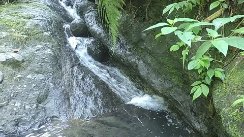 Waterflow Stock-Footage 279086541