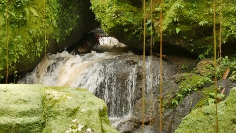Waterflow in the temple surrounded by rocks covered with bright green moss Stock Footage 111221825