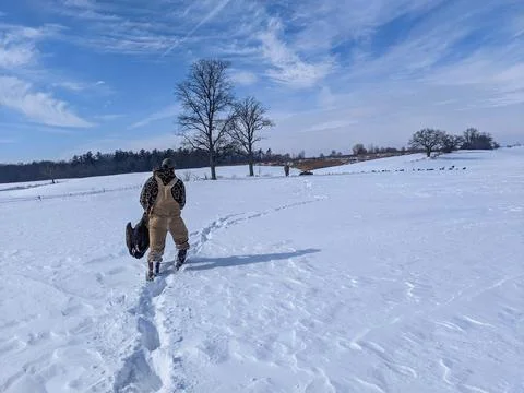 Waterfowl hunter walking through a deep snowy field carrying a Canada goose Foto stock