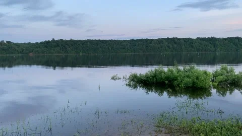 Waterfowl over the river Video stock 172099142