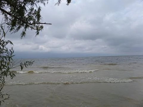 Waterfront on a cloudy day with a tree in the foreground Stock Photos
