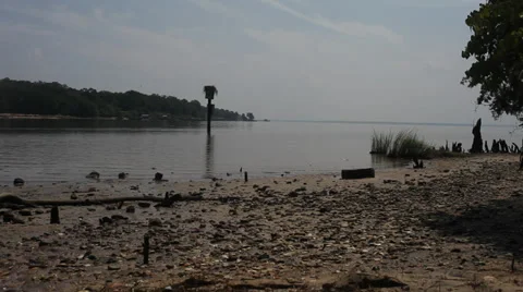 By the Waterfront Stock Footage 30389685