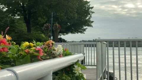 Waterfront Stock Footage 138474698