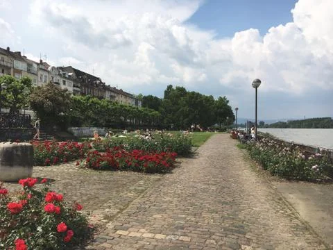 Waterfront Mainz Stock Photos