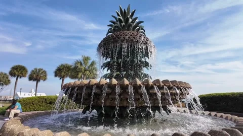 Waterfront Park, Vendue Range, Charleston, South Carolina (USA). 2025.11.21. Stock Footage 323976178