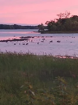 By the waterfront Stock Photos