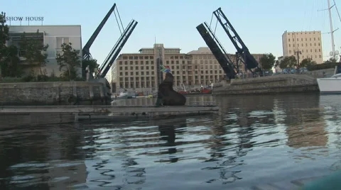 Waterfront Seals 01 Video stock 493830