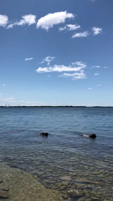 Waterfront view of Lake Ontario Vídeo Stock 324591375