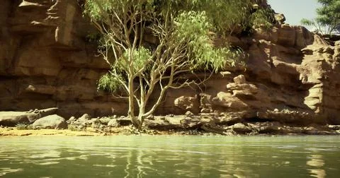 Waterfront view of rocky cliffs and a lone tree beside calm water 스톡 일러스트