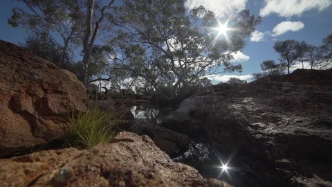 Waterhole in the desert Stock Footage 91703242