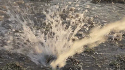 Watering (1) Stock Footage 30369526