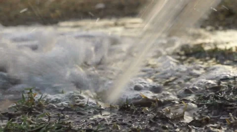 Watering (2) Stock Footage 30371656