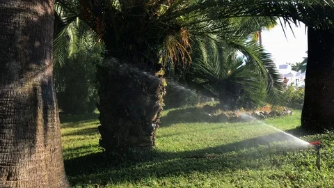 Watering 2 Stock Footage 98156611