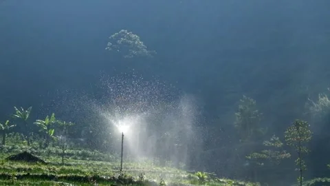 Watering agricultural fields using Sprinkler Stock Footage 280378254