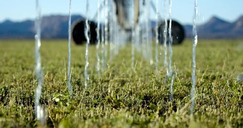 Watering Alfalfa Fields Water Close Up Farm RED 6K 100fps Stock Footage 88748941