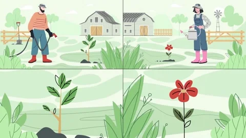 Watering And Growing Plants Explainer SB Stock After Effects