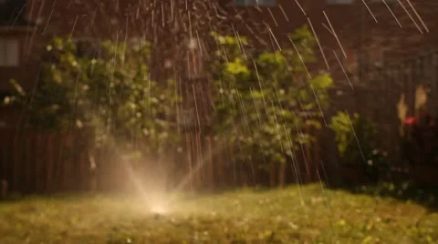 Watering backyard,   focus on foreground Video stock 11909241