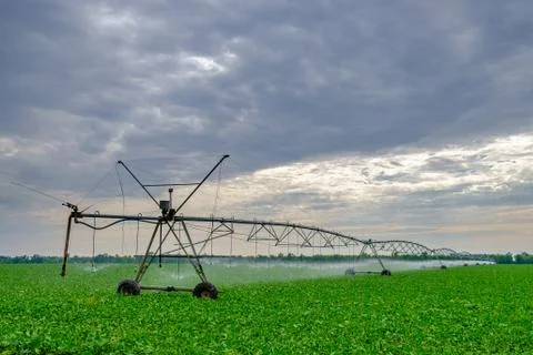 Watering beets in a large field using a self-propelled sprinkler system with a Stock Photos