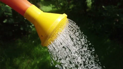 Watering can drop slow motion Stock Footage 108636061