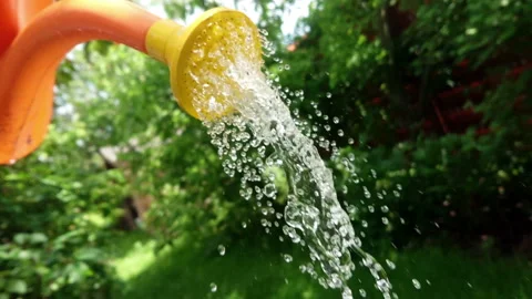 Watering can drop slow motion Stock Footage 108636076