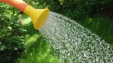 Watering can drop slow motion Stock Footage 108636089