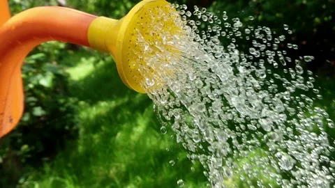 Watering can drop slow motion Video stock 111649110