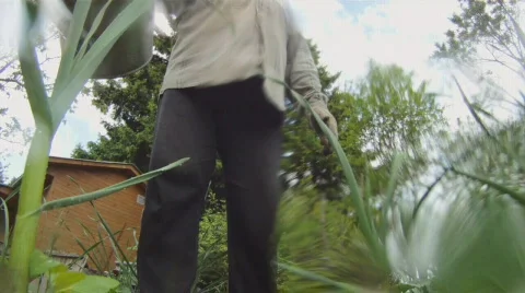 Watering can 스톡 동영상 722754