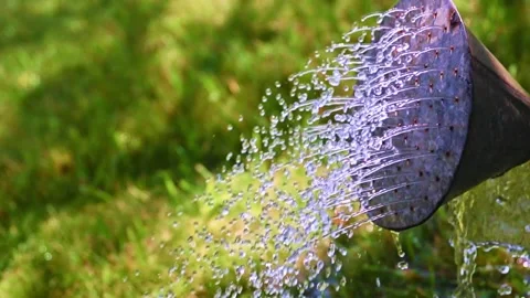A watering can Stock Footage 346665809