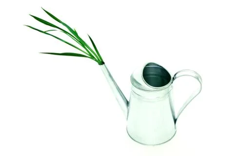 Watering Can Stock Photos